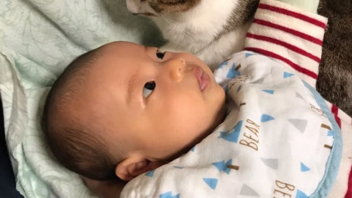 相変わらず