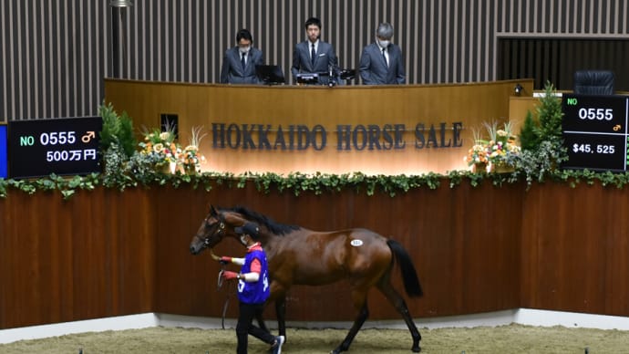 サマーセール出身馬【リストン(Liston)】が「駿蹄賞(3歳重賞)」を優勝