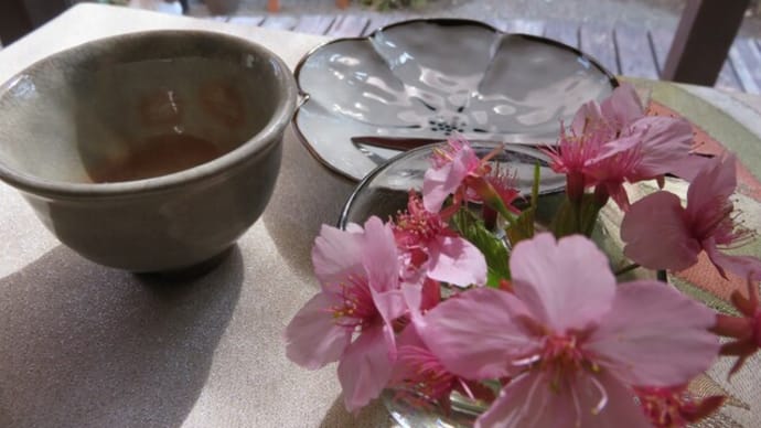 早咲き桜の頃の一服は♪