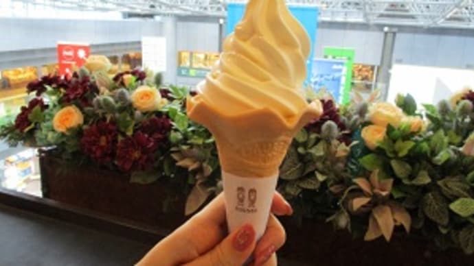 GOTOトラベルで北海道!40代夫婦の休日DAY4 最終日(新千歳空港編)