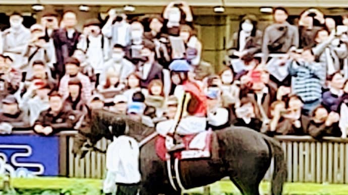 👑🐴ホープフルS 2024