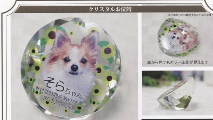 クリスタルお位牌 21番 ダイヤモンドカット ペット用