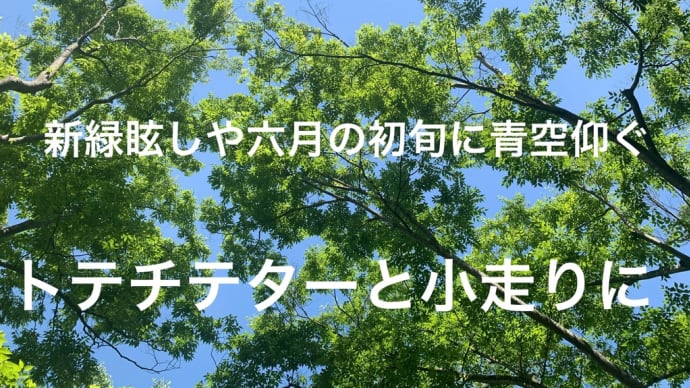 低い角度の月は赤く見える、深夜遅くに煌々と明るいホテルのライトアップ、夏至も近づくと夜明けも早い、午前3時半にはブルーモーメントのブルーアワーで体内時計のバイオリズム、ノンアルコールで乾杯の音頭をとる