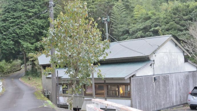 片付いた庭で楽しい大工仕事