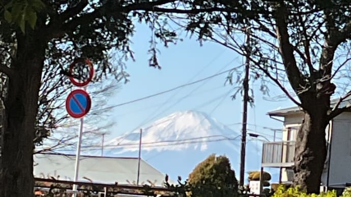 俣野公園 富嶽遠望