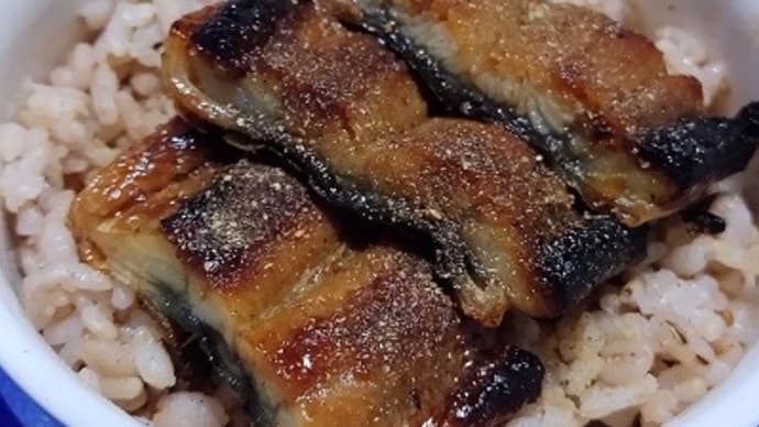 【09/02晩御飯】三重県産鰻蒲焼頭側でミニ鰻丼、ささっと済ませたんだね:D