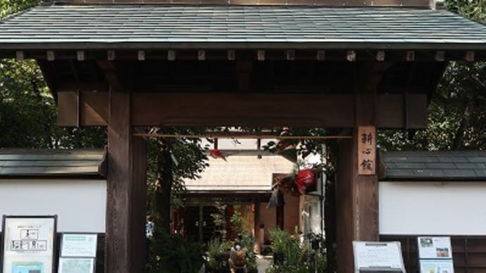 耕心館の鈴虫花など