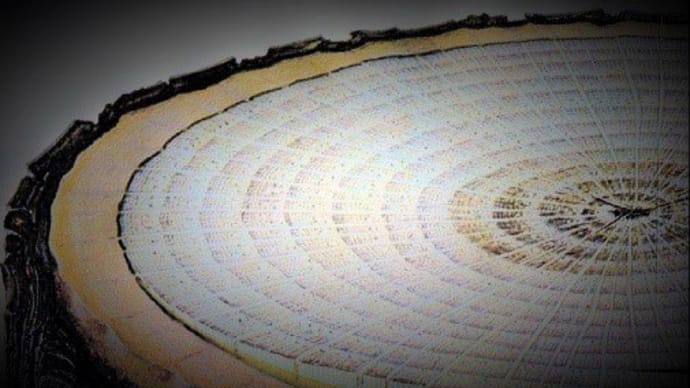 【自適に実年】歳は「退化」でなく「進化」の過程