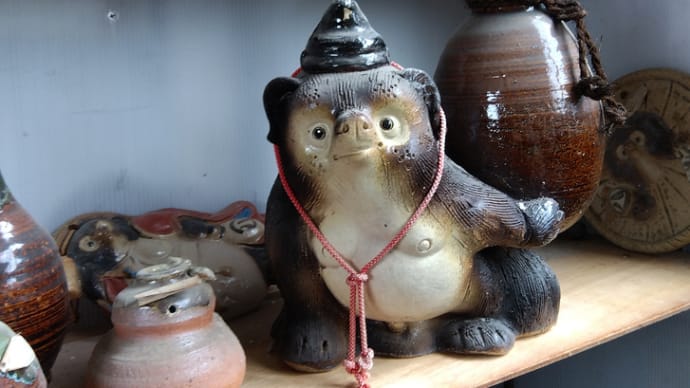 可愛いたぬき