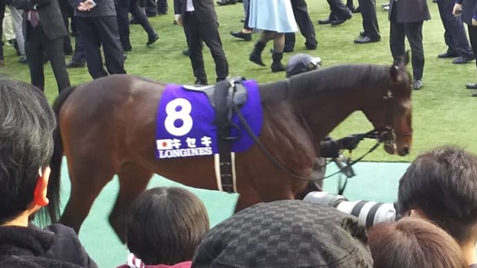 🐴有馬記念 2021 予想&ファン投票結果☆