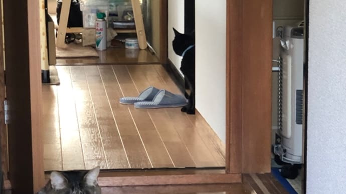 遅くなりました