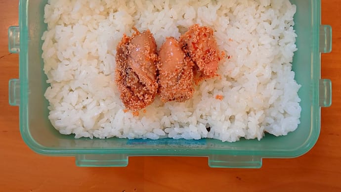 6月のハードコア弁当