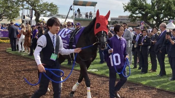 ソングライン、馬体に異常なく本日出国予定