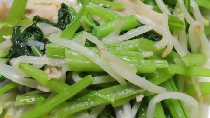 小松菜ともやしと豚肉の炒め
