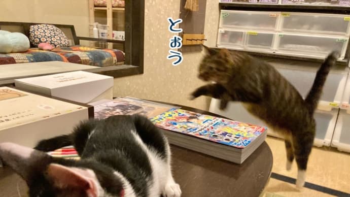 目標は大きく!@88番地