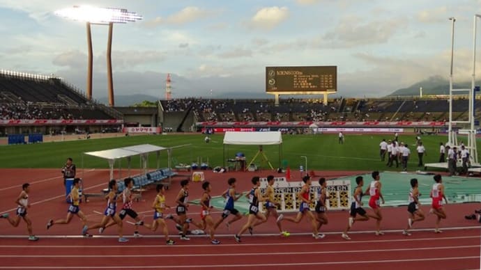 長距離日本選手権・チーム別エントリー数