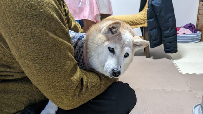 帰ってしまった兄ちゃん&見守るキーちゃん