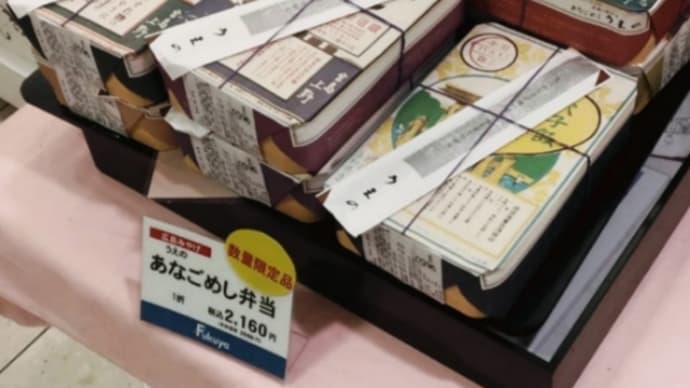 広島の穴子飯(お土産)