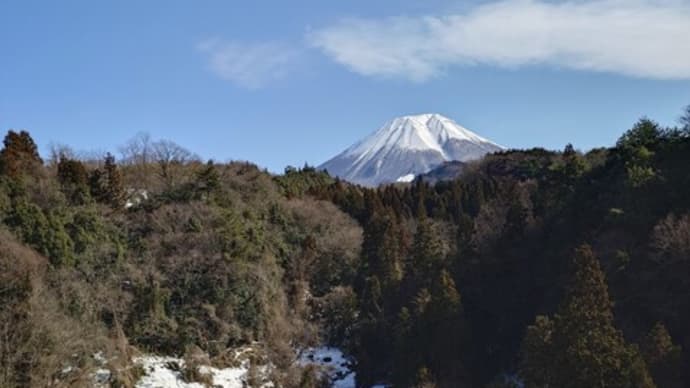 外国人生活保護について取り上げた事について