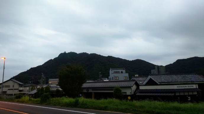 岐阜の朝ジョグ