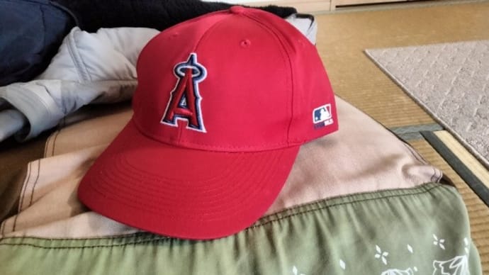 大谷翔平効果我が家にも波及
