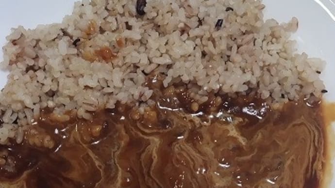 【04/09昼食】ハウス食品/カリー屋ハヤシで適当に済ませたんだね:P