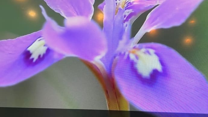 手間はかかるけど、、