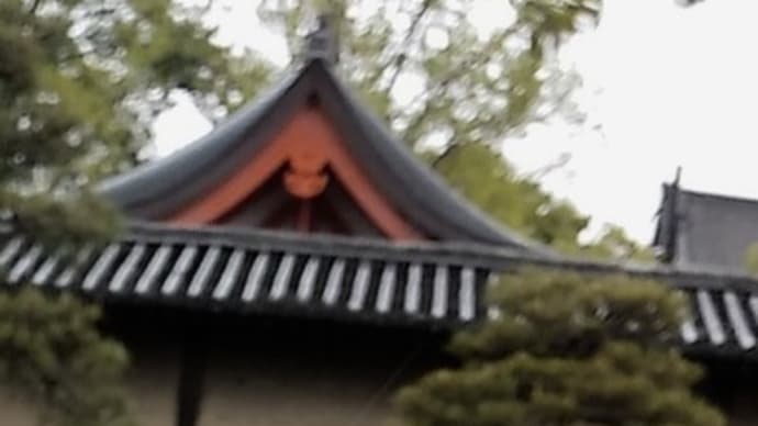 小雨の京都