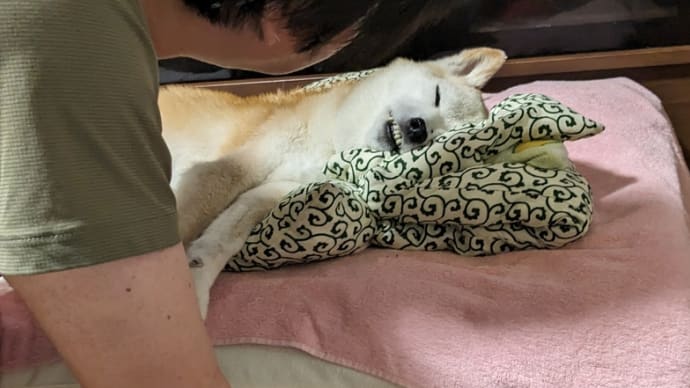 大好きな兄ちゃんはいつでも来てくれるよ