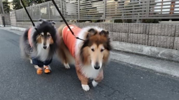 平穏な時☺️