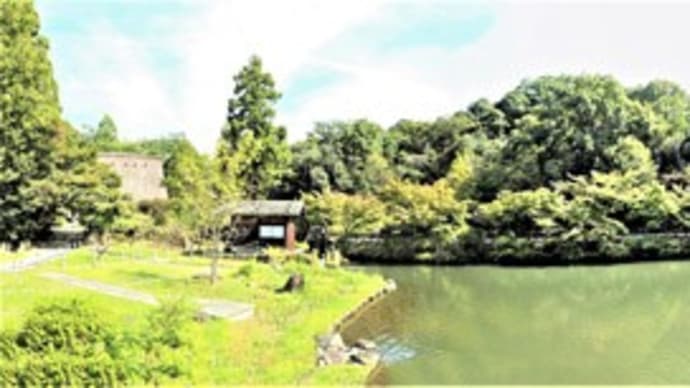 東山植物園にも本格的に秋到来で~す