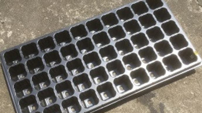 無花果の収穫がスムーズに出来るようになった!~自然農園~