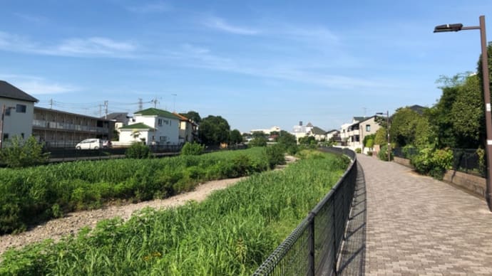 特別休暇 (´∀`*)