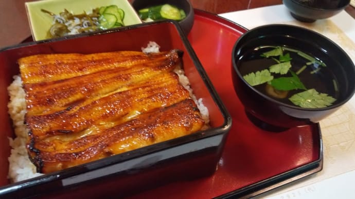 気軽に美味しいうな重が楽しめる