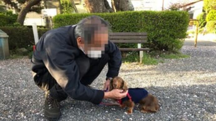 桜の季節にさくらアイスをもう一度♪