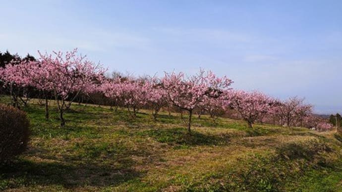 中間平緑地公園にて