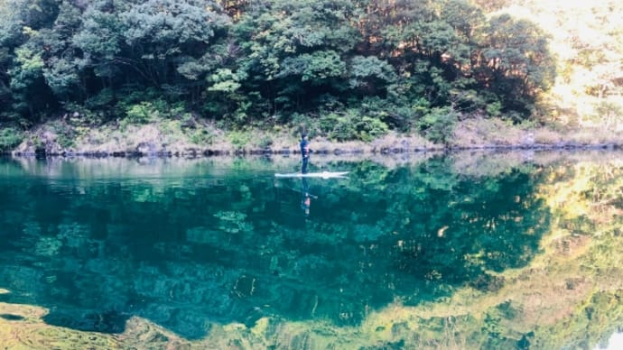 色を楽しむ冬の安房川