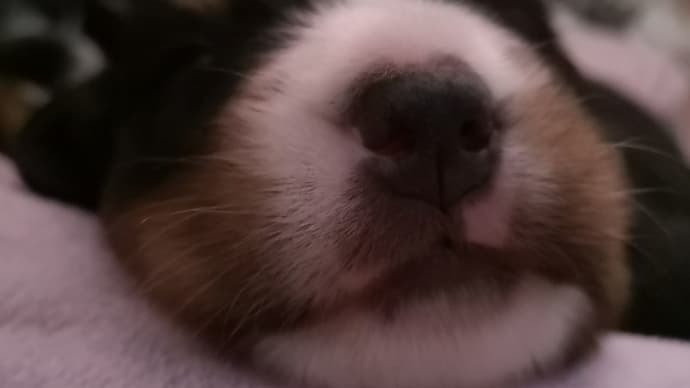 むにゃむにゃピクピク～😍😍😍