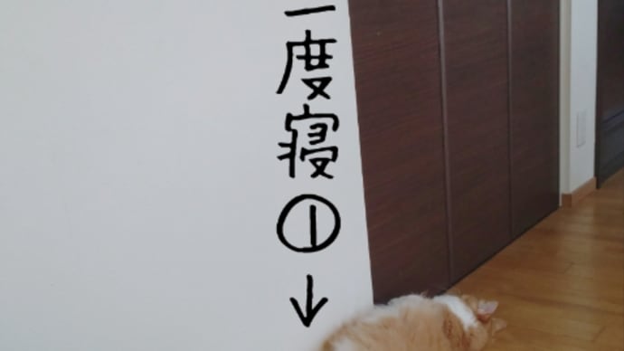 仕事に行きたくないな。
