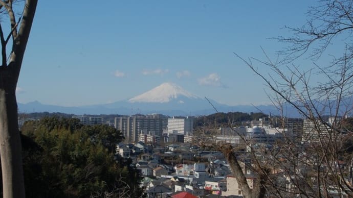 いつもの散歩道 ~ふじ山へ~