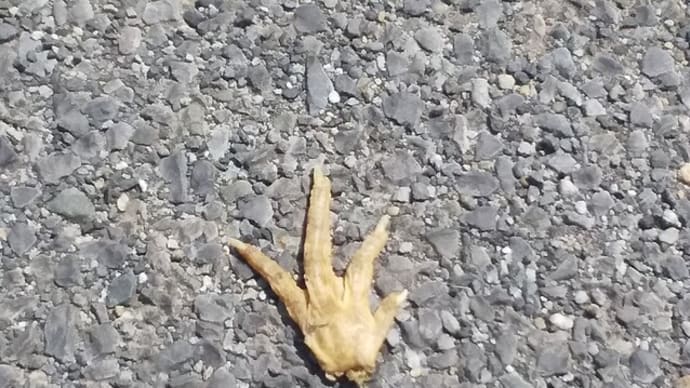 なぜ歩道にもみじが?