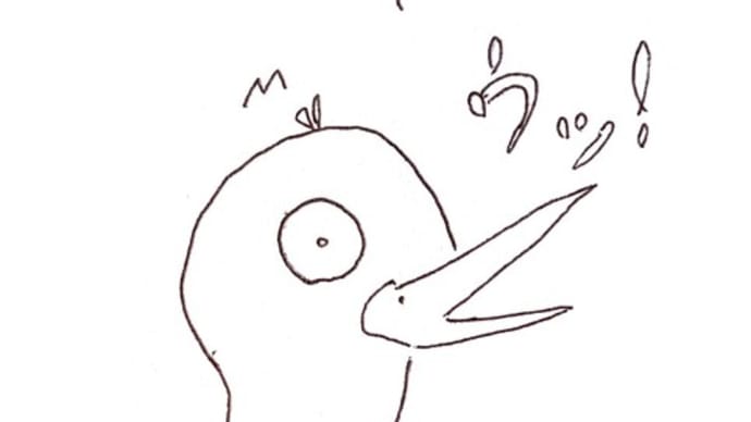 山の生活 鳥の落とし物