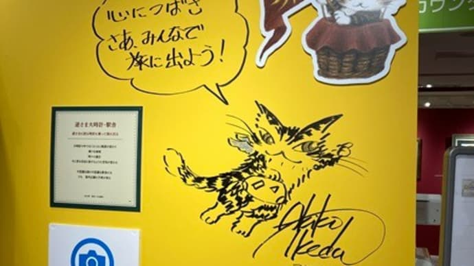 NHK文化センター柏金曜和裁教室日～浴衣にしじらに男物など仕立て中～