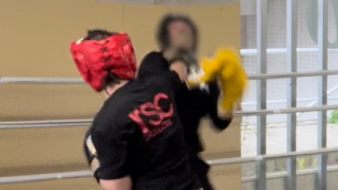 チャンネル登録お願いします🙇♀️