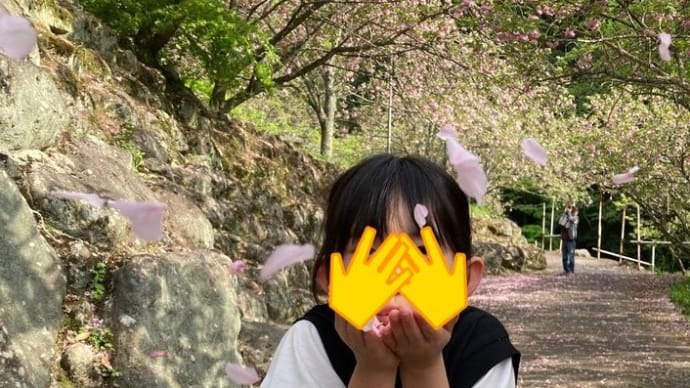 さくらの花びら