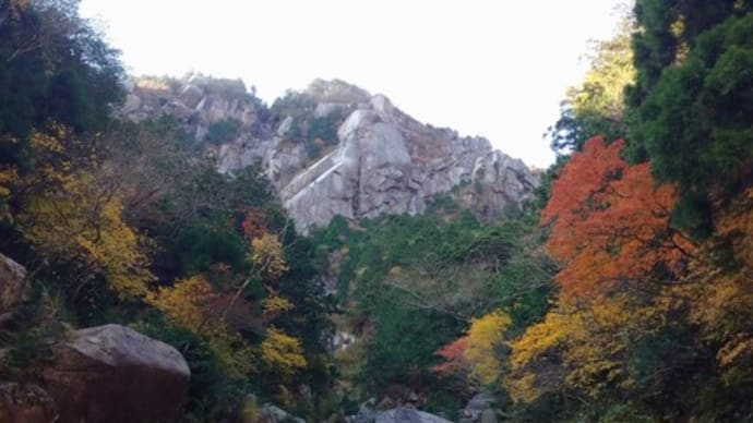 鈴鹿 御在所岳 藤内壁 前尾根