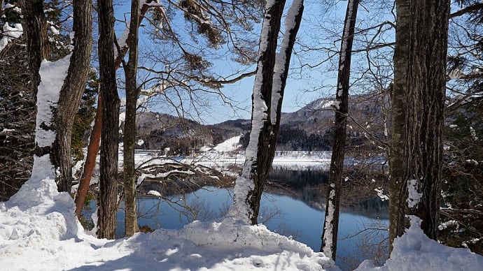 ★青木湖畔  空の青さと雪の白さ　2024