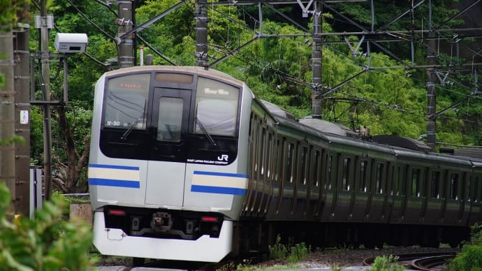 快速鎌倉あじさい号185系に乗る (その2)明月院に行きアジサイを見る。ただし閉門している。