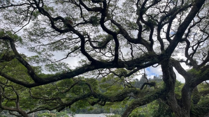 ハワイの神社