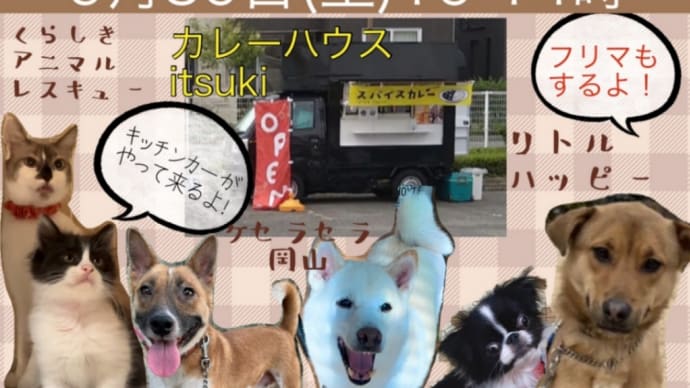譲渡会のお知らせ